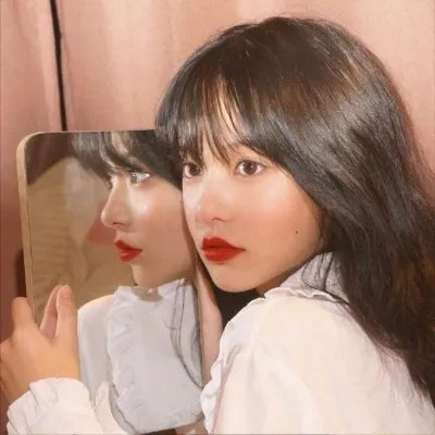 乌鼠机密档案