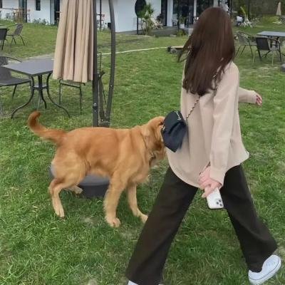 致命谜情
